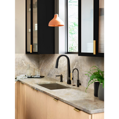 Nio One-Handle High Arc Pulldown Kitchen Faucet