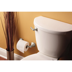 Voss Pivoting Toilet Paper Holder